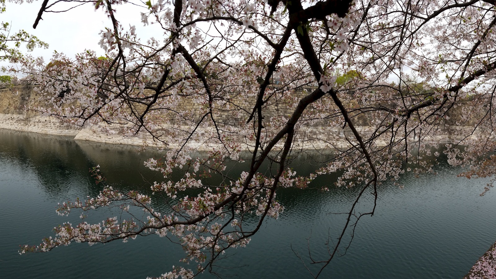 Corner Exit Speed System: Brake Less, Carry More, and Stay in Control