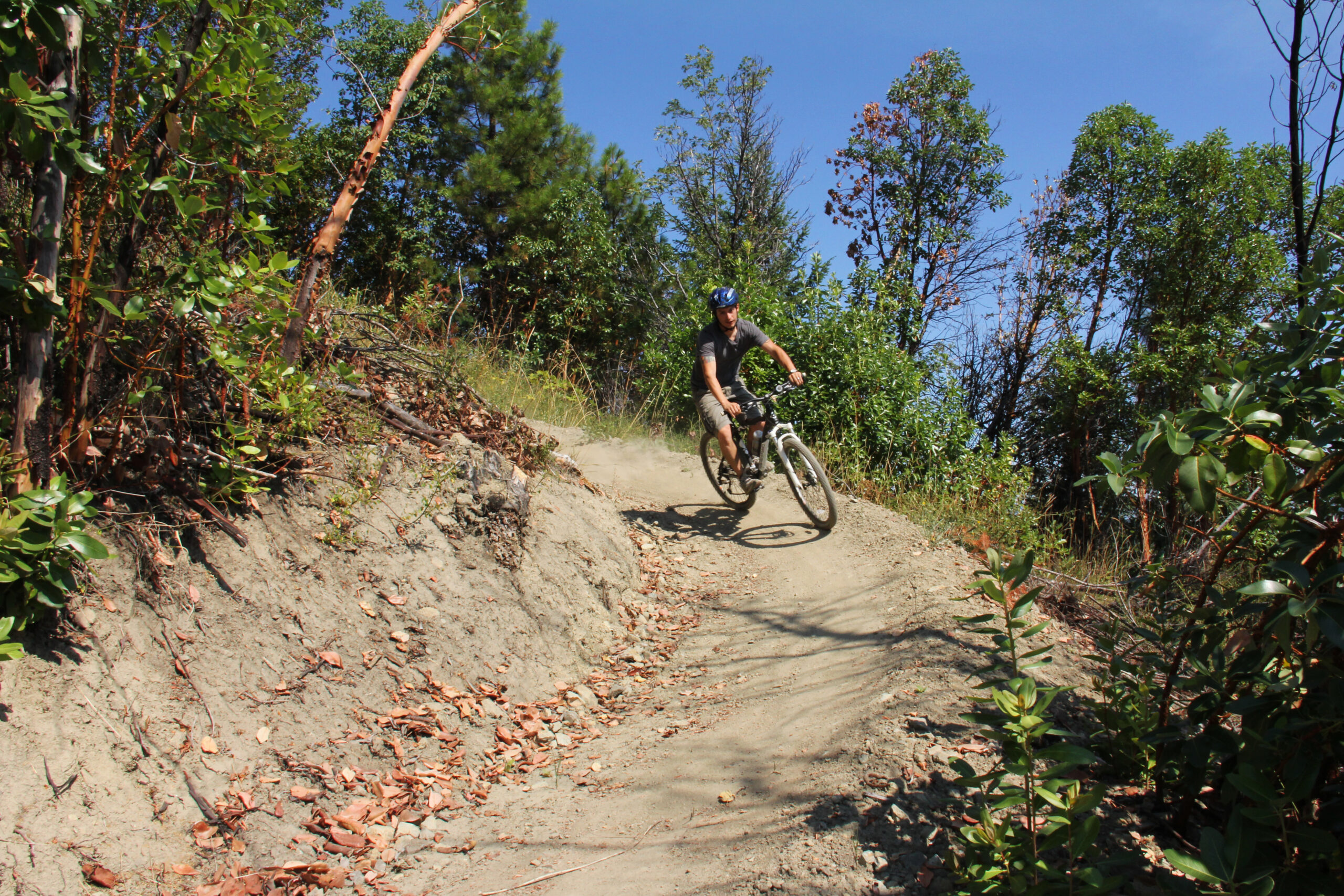 How to Fix Arm Pump on Descents: The 20-Minute MTB Setup and Technique Reset