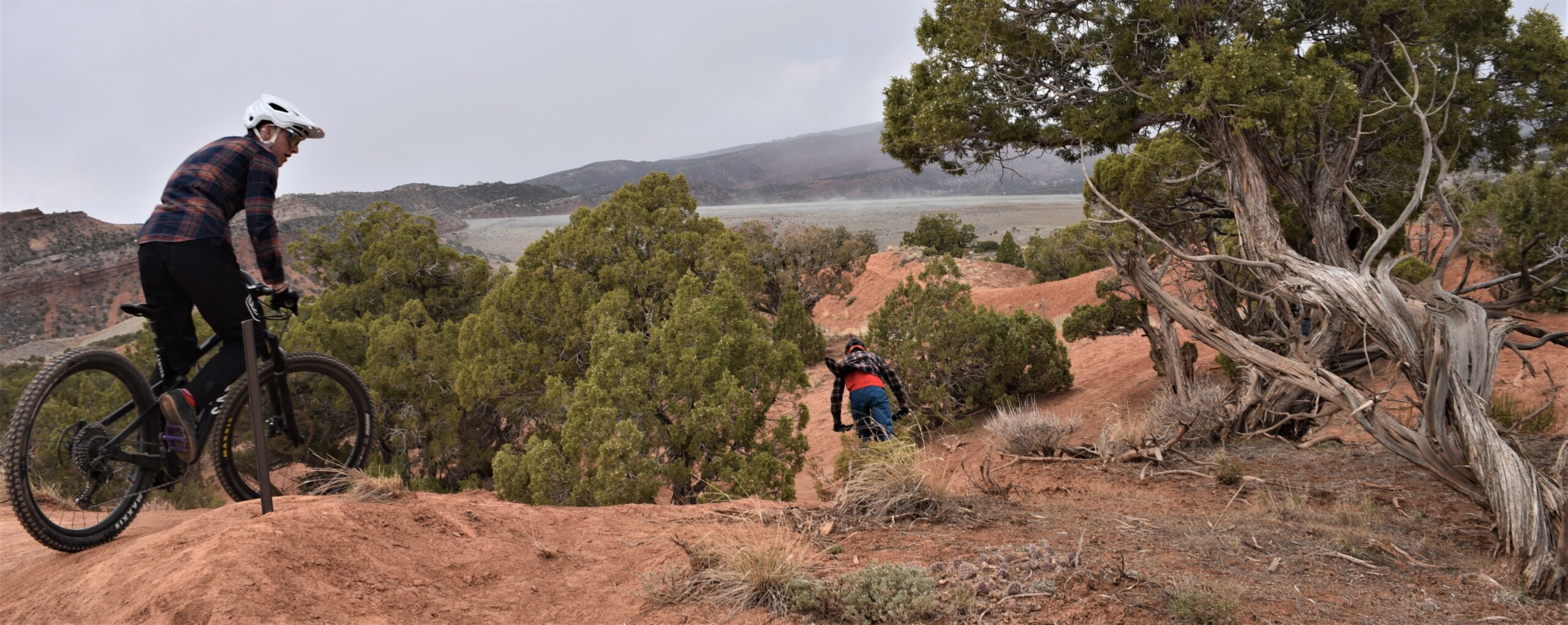 How to Dial Handlebar Width and Control Setup for Better MTB Descending
